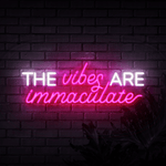The Vibes Are Immaculate Neon Sign