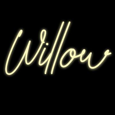 Custom Neon | Willow
