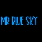 Custom Neon | Mr Blue Sky